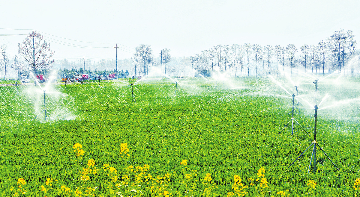 3月29日，柘城县起台镇大史小庄村村民在给小麦喷灌返青水，为丰产增收打基础。 张子斌 摄