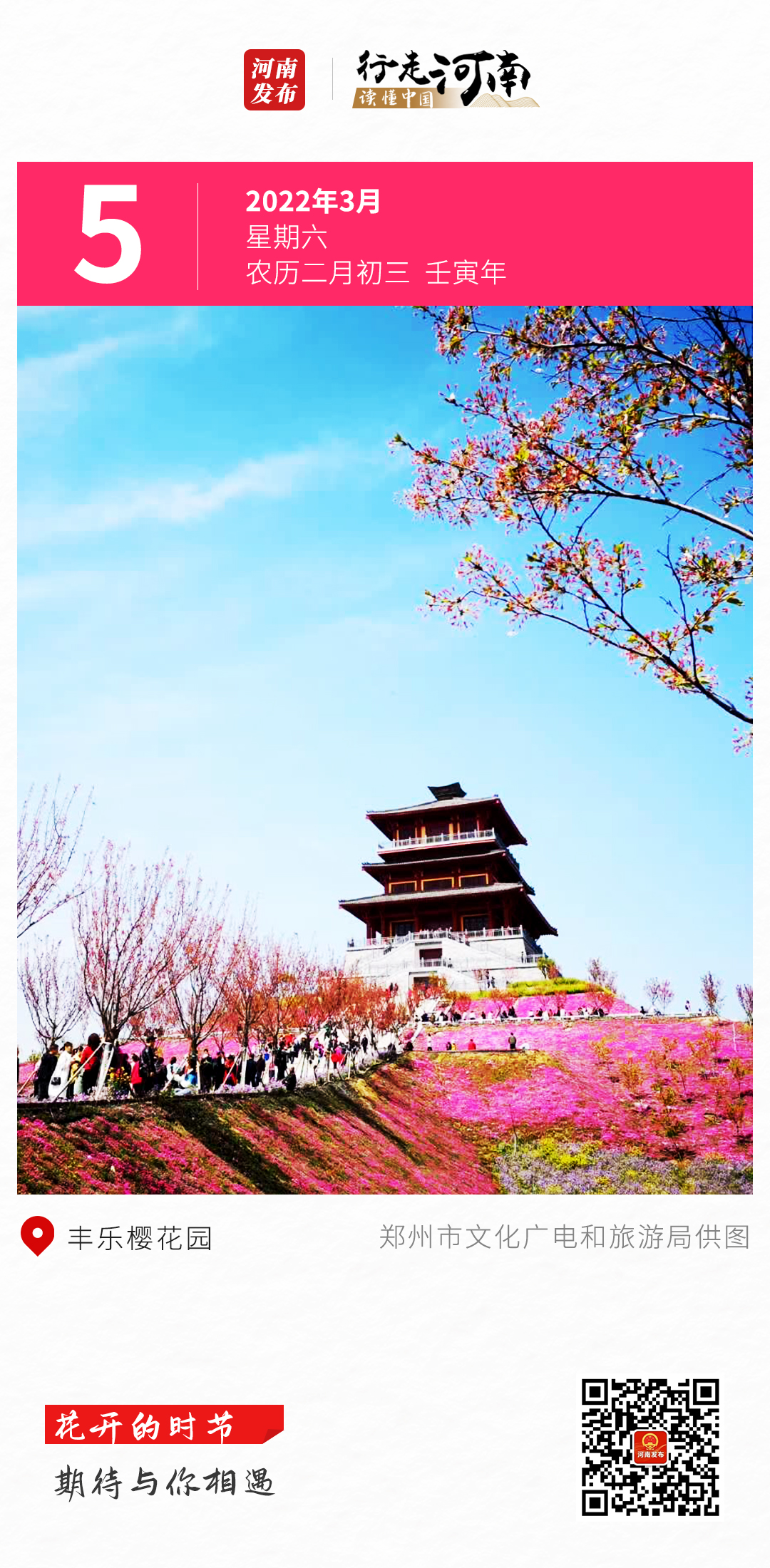 【行走河南 读懂中国】花开的时节，期待与你相遇