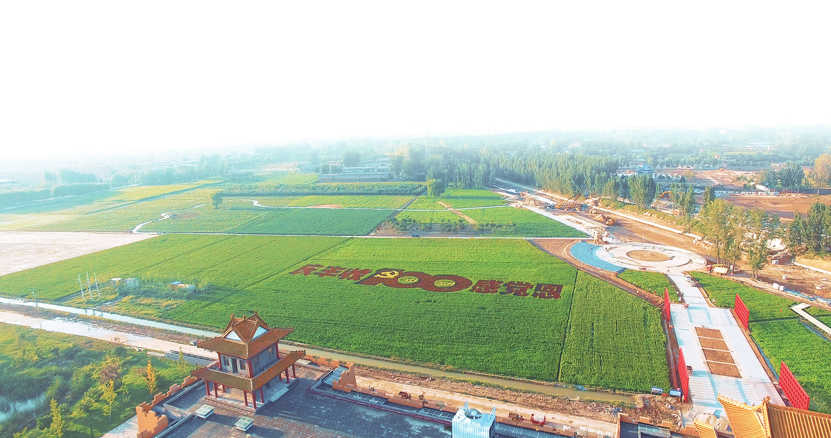 黄河文化之乡的丰收图景 ——写在2021年“中国农民丰收节”365bat提现_bus365_365app最新版安卓下载主会场(焦作武陟)开幕之际 黄河文化之乡的丰收图景 ——写在2021年“中国农民丰收节”365bat提现_bus365_365app最新版安卓下载主会场(焦作武陟)开幕之际