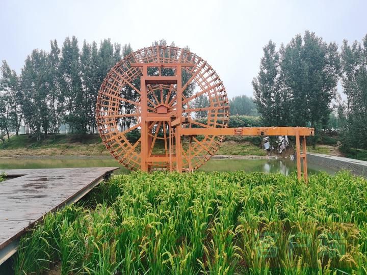 黄河水车.jpg