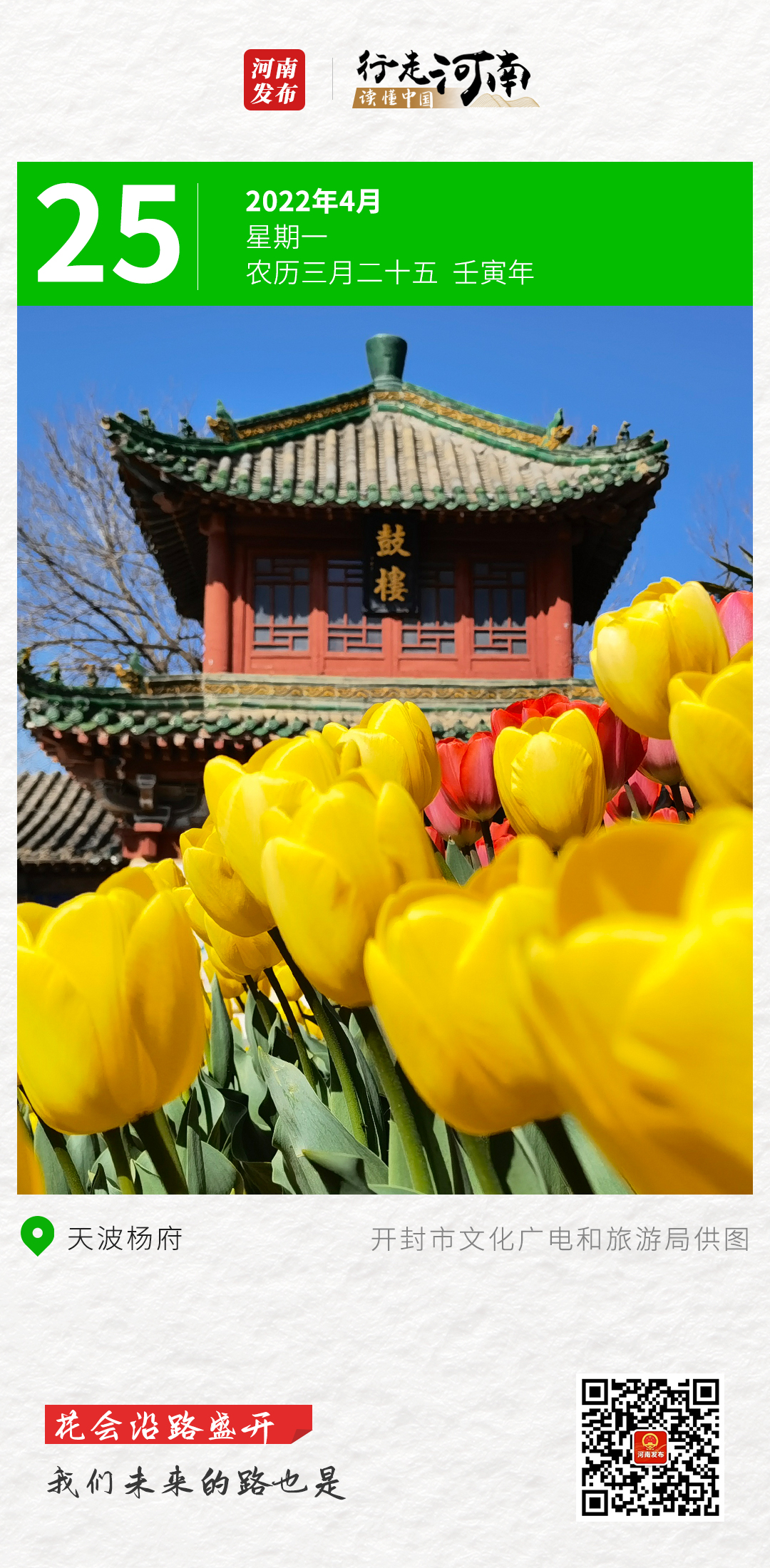 【行走河南•读懂中国】花会沿路盛开，我们未来的路也是