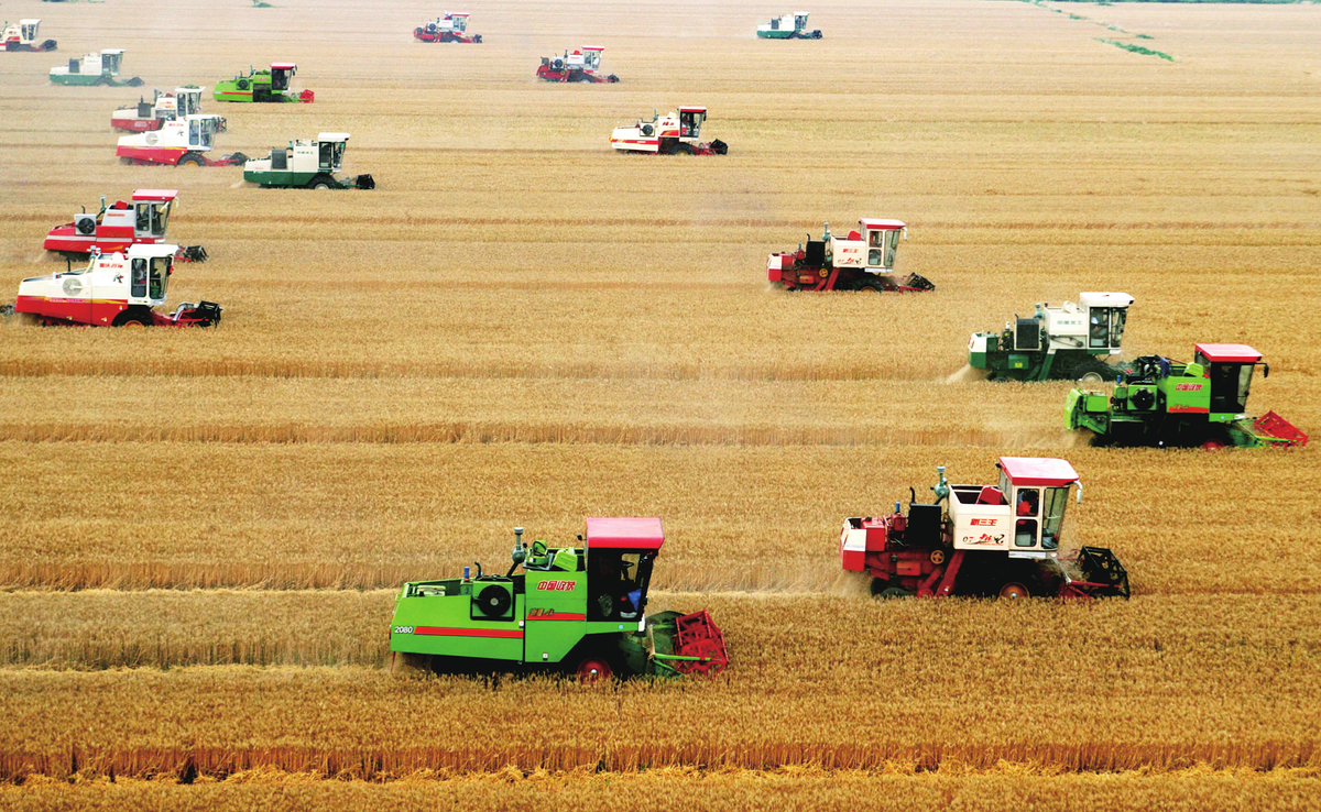 黄河文化之乡的丰收图景 ——写在2021年“中国农民丰收节”365bat提现_bus365_365app最新版安卓下载主会场(焦作武陟)开幕之际 黄河文化之乡的丰收图景 ——写在2021年“中国农民丰收节”365bat提现_bus365_365app最新版安卓下载主会场(焦作武陟)开幕之际