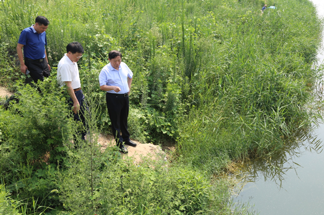 29328992820044286 4.png